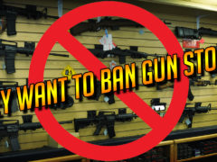 Illinois Gun Dealer Licensing Bill